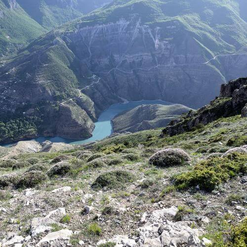 Фото: Александр Байдуков, CC BY-SA 4.0 https://creativecommons.org/licenses/by-sa/4.0, via Wikimedia Commons