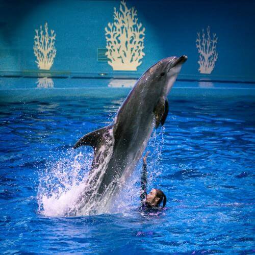 Photo by Ruslan Mingazhov on Unsplash