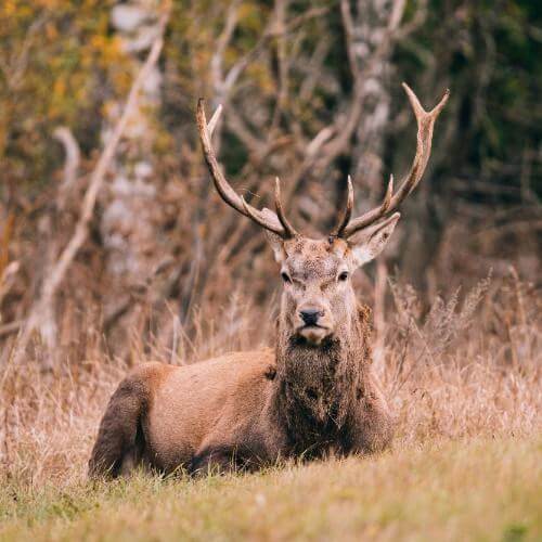 Фото: Центр туризма «Липецкая Земля»