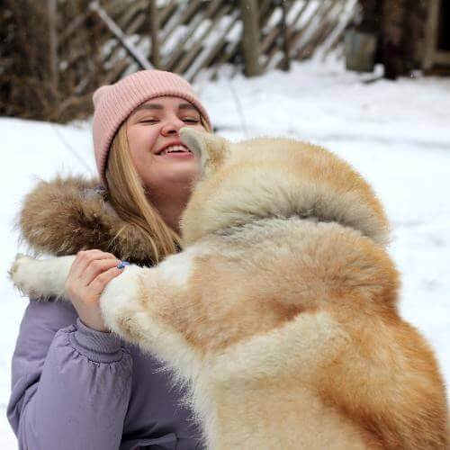 Фото от партнёра.