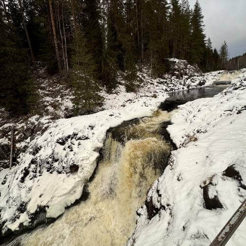 Фото от партнёра.