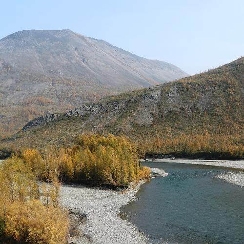 Фото: Druschba 4, CC BY-SA 4.0 https://creativecommons.org/licenses/by-sa/4.0, via Wikimedia Commons