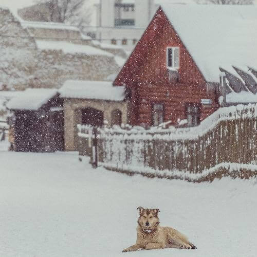 Фото от партнёра.
