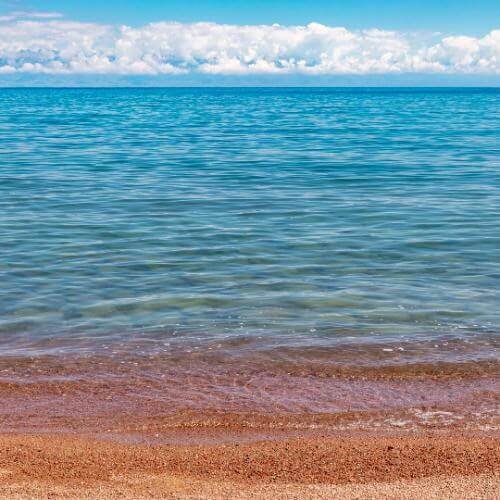 Фото: Ninara from Helsinki, Finland, CC BY 2.0 https://creativecommons.org/licenses/by/2.0, via Wikimedia Commons