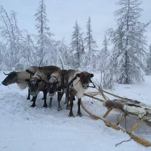 Источник: от партнёра               