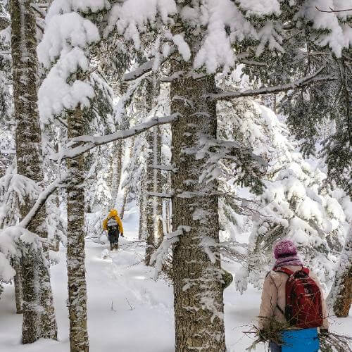 Фото от партнёра.