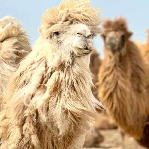 Фото от партнёра.