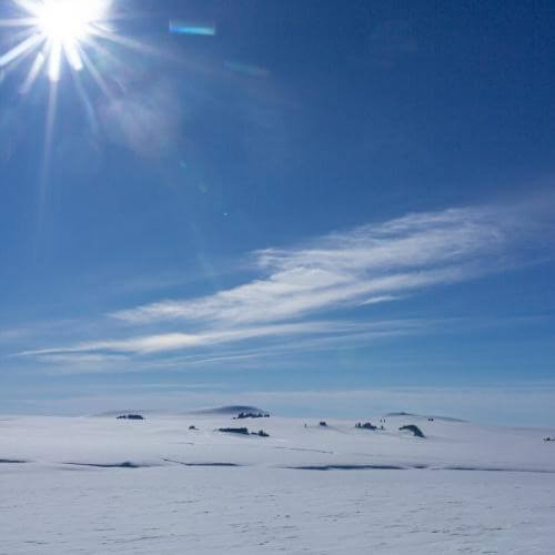 Фото от партнёра.