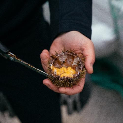 Териберка. Фото от партнёра.