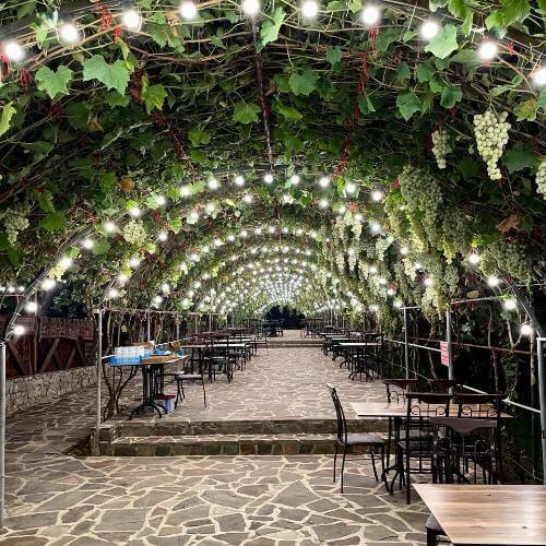 Фото от партнёра.