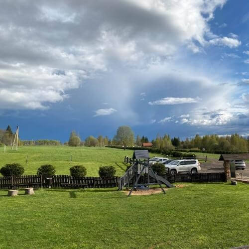 Экоферма «Изборский страус». Фото от партнёра.