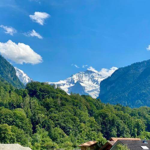 Источник: Unsplash