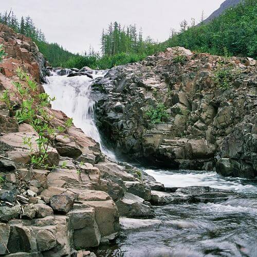 Фото: Vitaly Repin, CC BY-SA 3.0 https://creativecommons.org/licenses/by-sa/3.0, через Викисклад