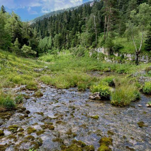 Фото: от партнёра.