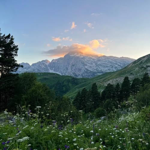 Фото: от партнёра