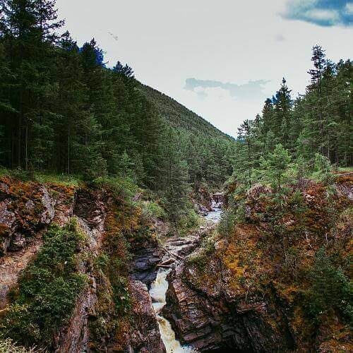 Фото: Zamunu45, CC BY-SA 4.0 https://creativecommons.org/licenses/by-sa/4.0, через Викисклад