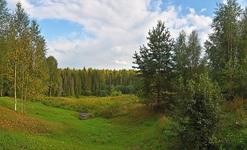 Фото: Ludvig14, CC BY-SA 4.0 https://creativecommons.org/licenses/by-sa/4.0, via Wikimedia Commons