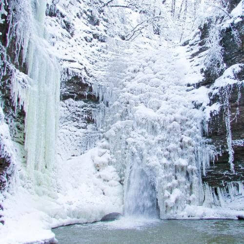 Фото от партнёра.