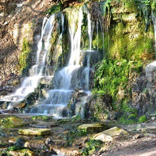 Фото: Александр Байдуков, CC BY-SA 4.0 https://creativecommons.org/licenses/by-sa/4.0, via Wikimedia Commons