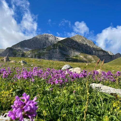 Фото: от партнёра