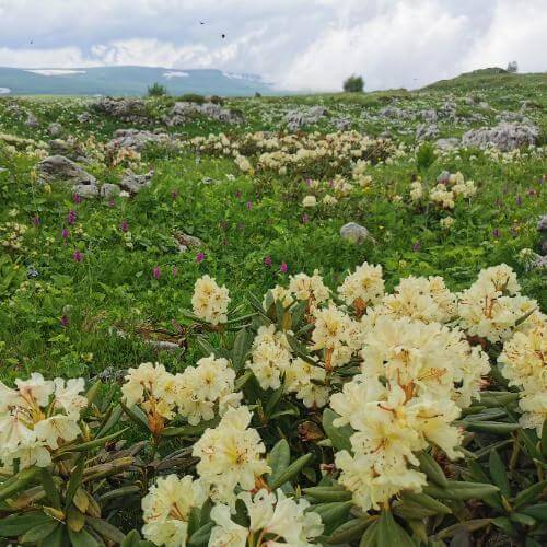 Фото: от партнёра