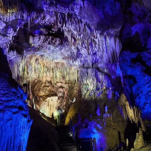 Фото: Zysko serhii, CC BY-SA 4.0 https://creativecommons.org/licenses/by-sa/4.0, via Wikimedia Commons