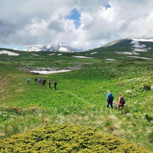 Фото: от партнера