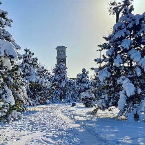 Фото от партнёра.