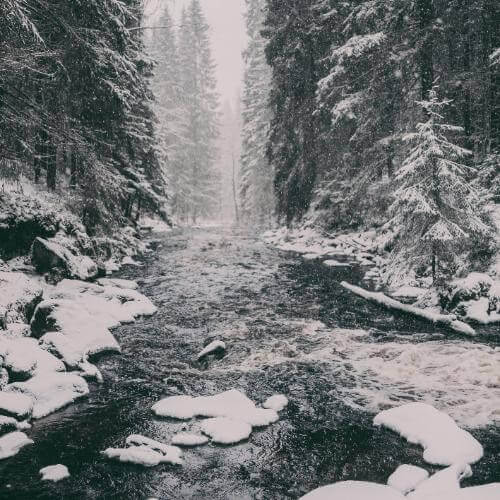 Фото от партнёра.