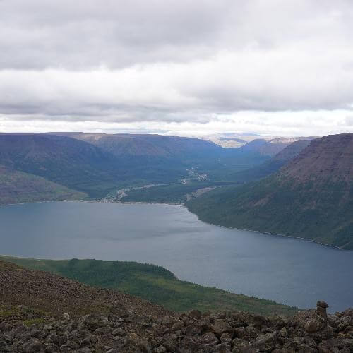 Источник: от партнёра