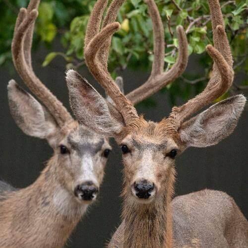 Источник: Pexels