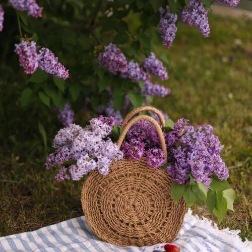 Источник: Pexels