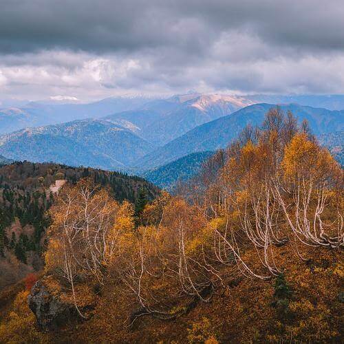 Фото: Шишкалов Константин, CC BY-SA 4.0 https://creativecommons.org/licenses/by-sa/4.0, via Wikimedia Commons