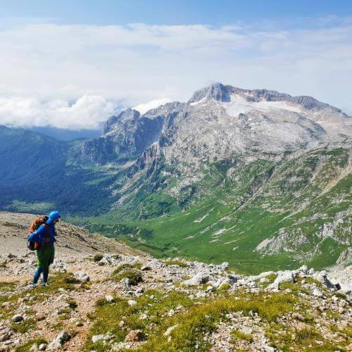 Фото: от партнёра.