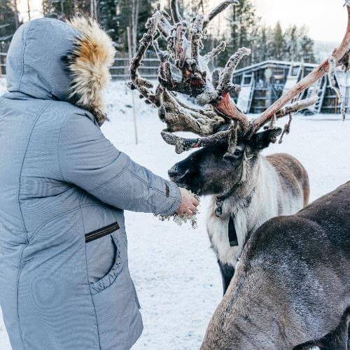 Саамская деревня. Фото от партнёра.