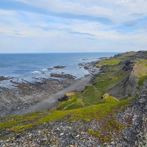 Фото: от партнера