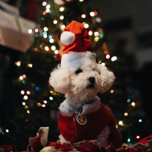 Источник: unsplash