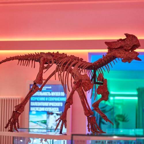 Источник: региональный фотобанк Кемеровской области