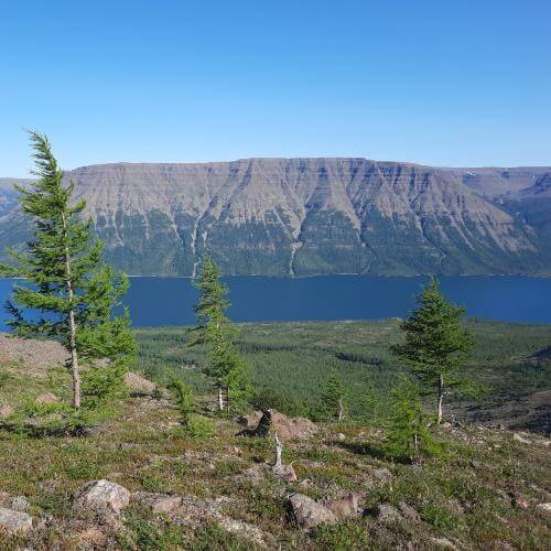 Фото: от партнера