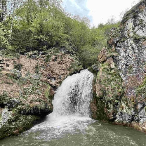 Фото: от партнёра.