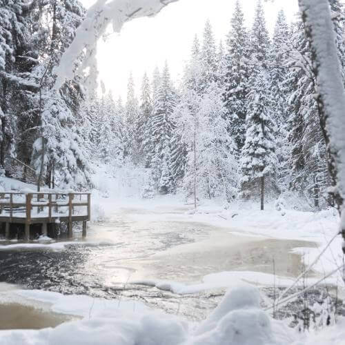   Фото: от партнёра.       