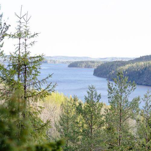 Фото от партнёра.