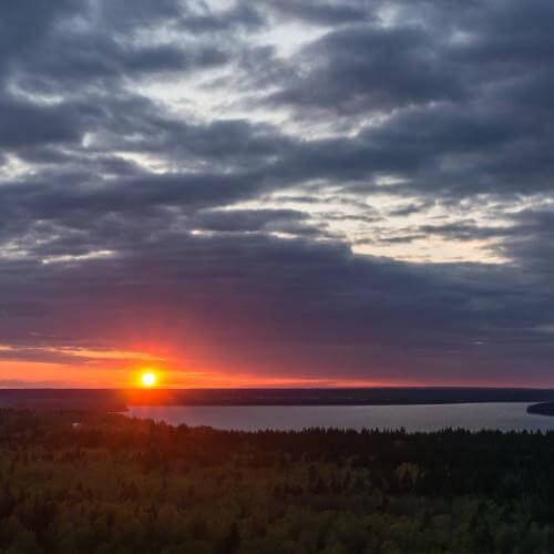 Фото: Artem Kavalerov, Wikimedia Commons (CC BY-SA 4.0)