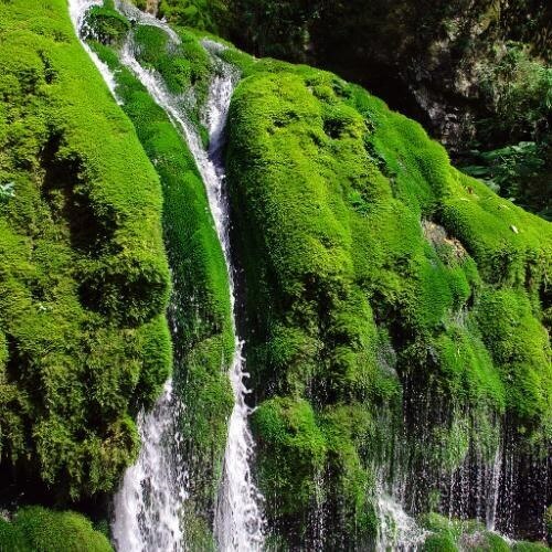 Фото: Tswet2012, CC BY-SA 4.0 https://creativecommons.org/licenses/by-sa/4.0, via Wikimedia Commons