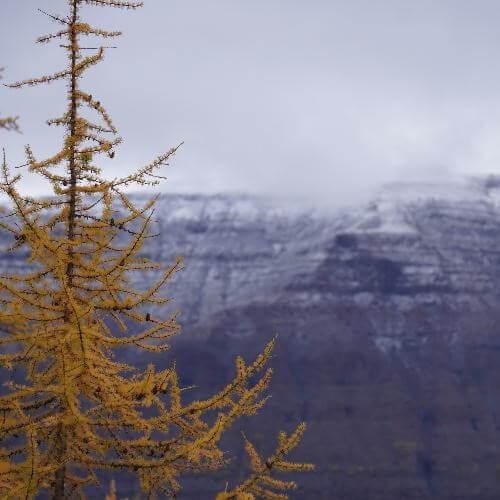 Источник: от партнёра