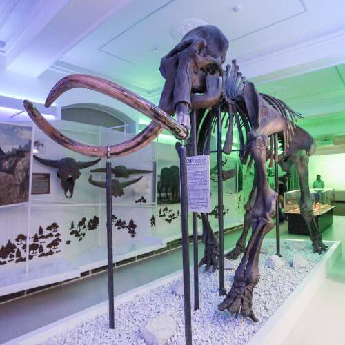 Источник: региональный фотобанк Кемеровской области