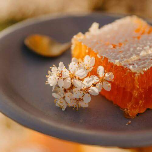 Источник: Unsplash