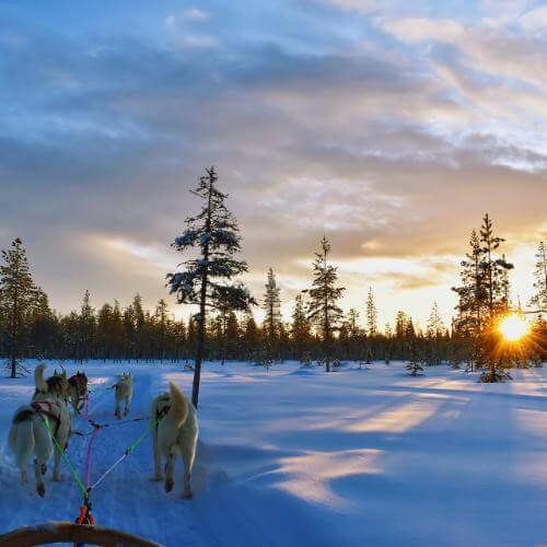 Источник: Pixabay