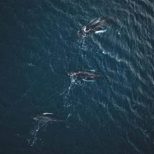 Фото от партнёра.