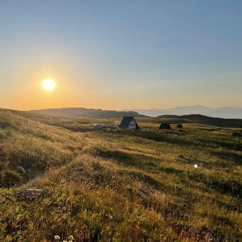 Фото: от партнёра